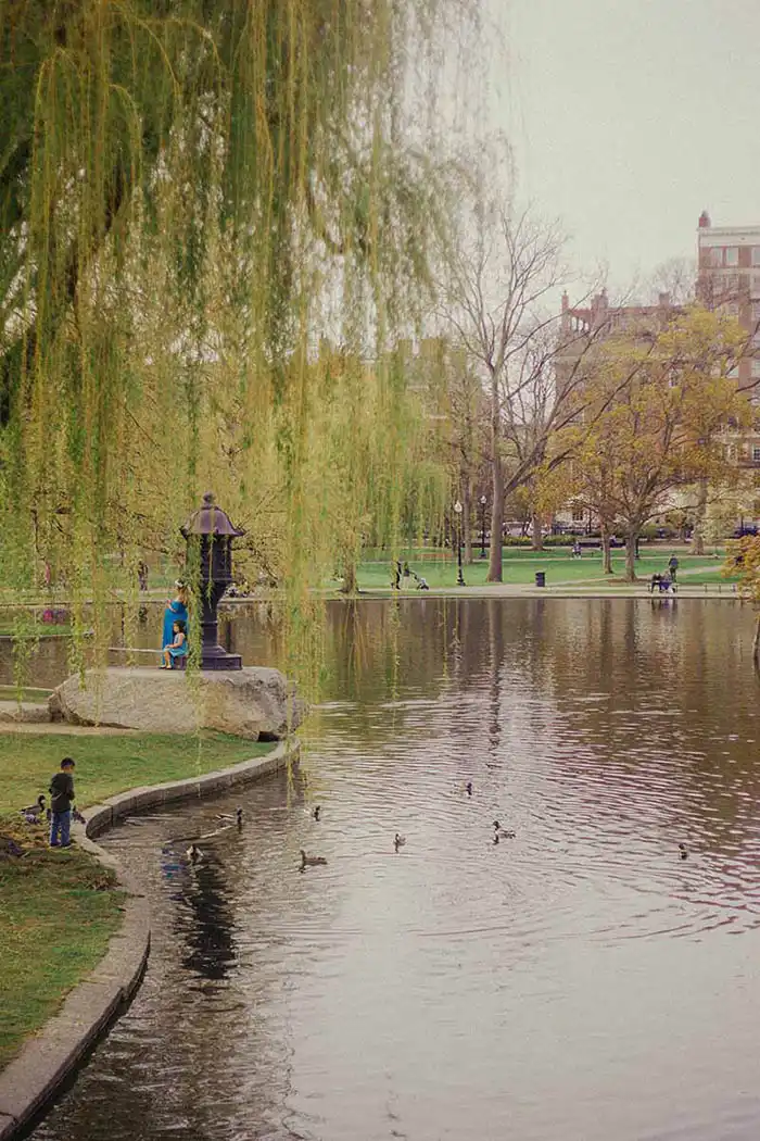Boston park photograph